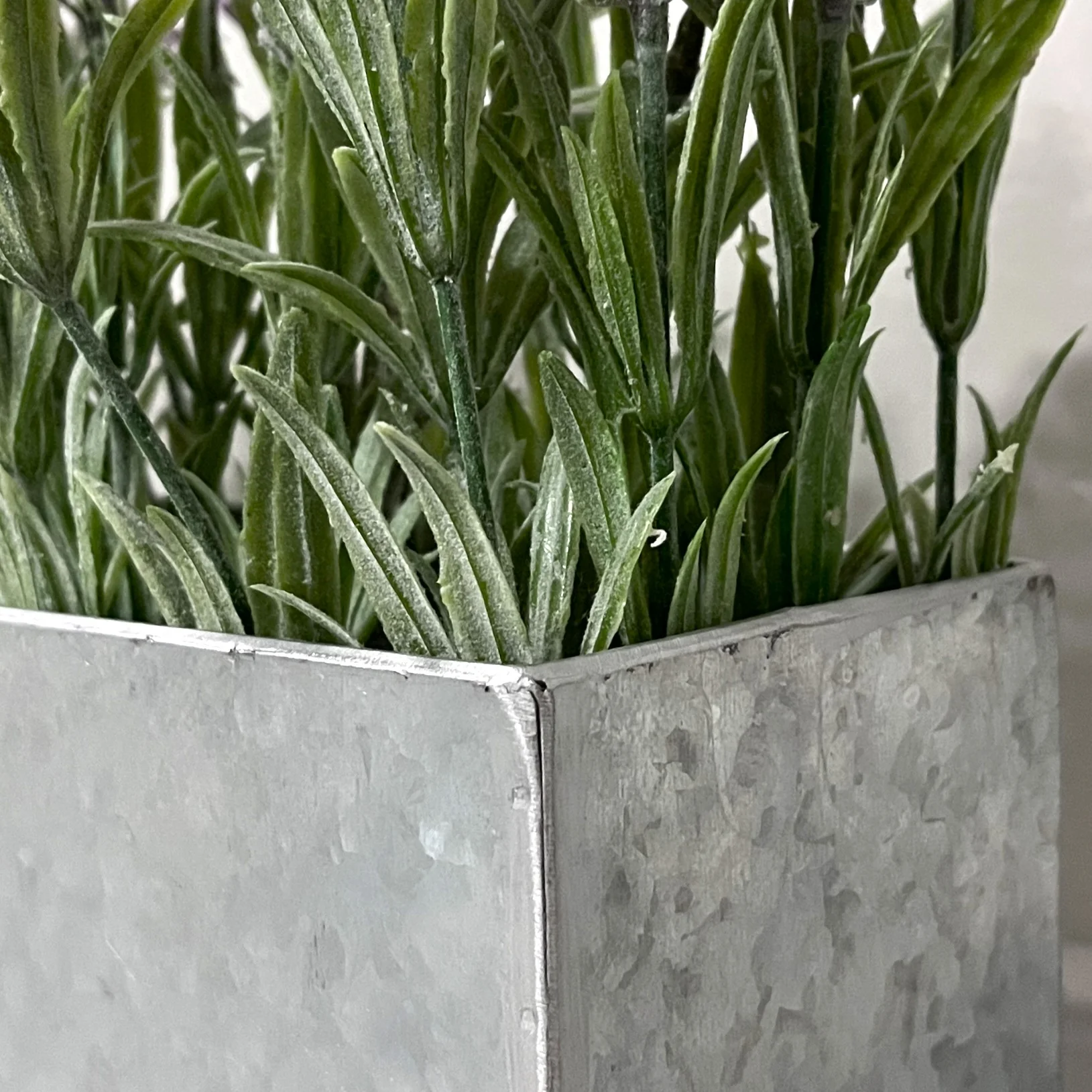 Decorative Planter - Image 3