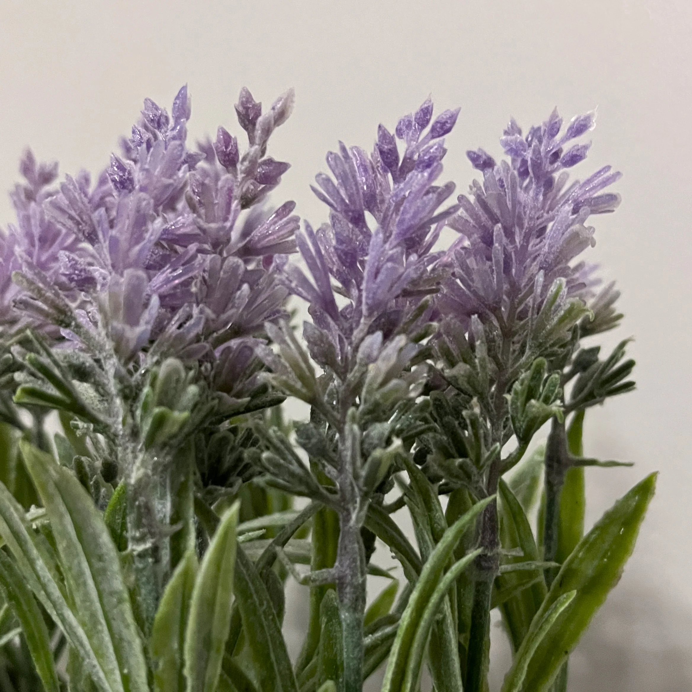 Decorative Planter - Image 4