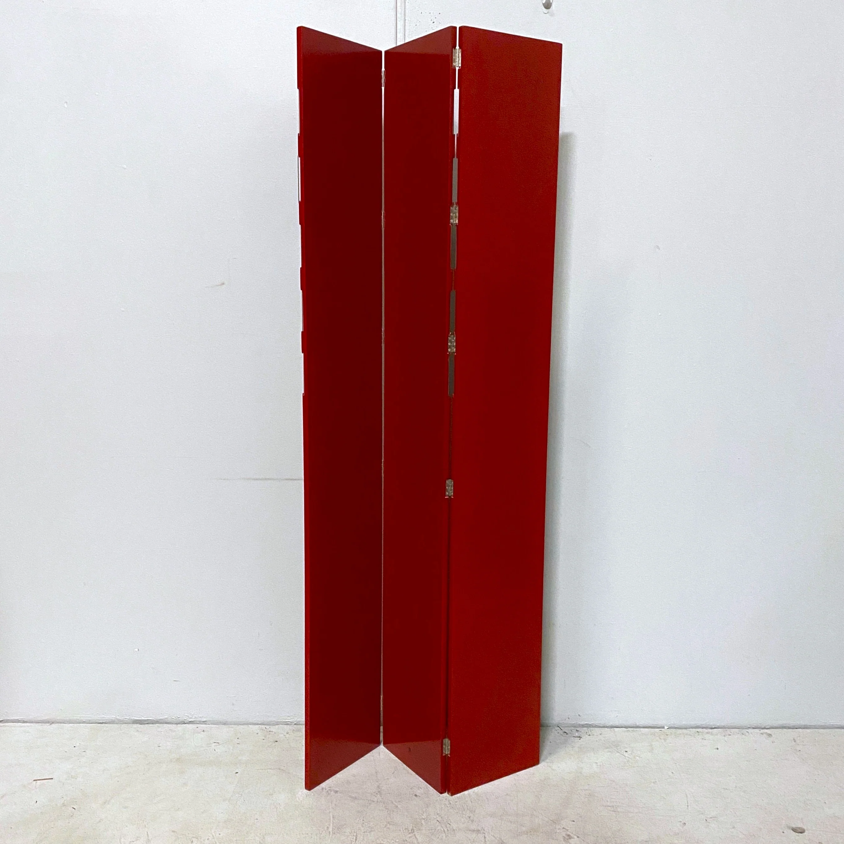 Tri-Fold Metal Photo Frame Room Divider - Image 2